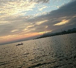 獲れたのはハマチ一本…サゴシカッター！鰤ｶｽﾀﾑ返せ‼