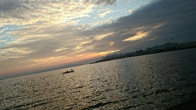 獲れたのはハマチ一本…サゴシカッター！鰤ｶｽﾀﾑ返せ‼