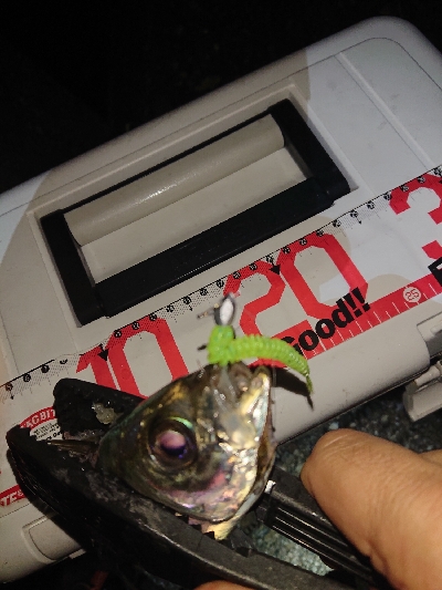 アジングテスト