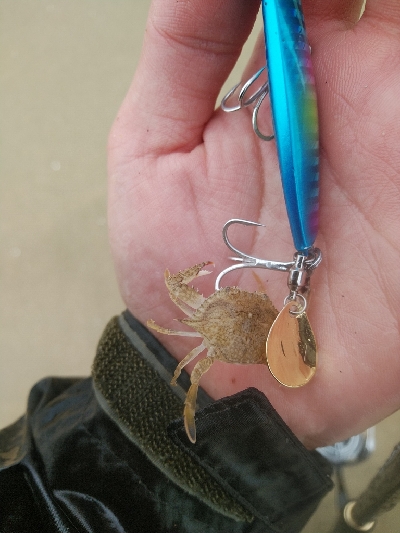 渋い中にも何とかボウズ回避