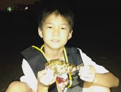 子どもと夜釣り