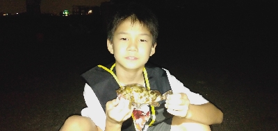 子どもと夜釣り