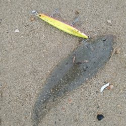 フラット狙うも不発。キスでボウズ逃れ