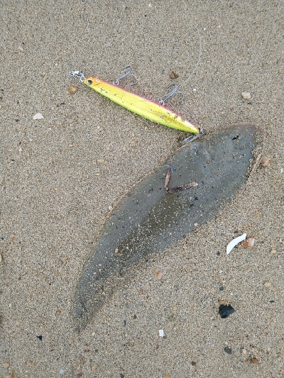 フラット狙うも不発。キスでボウズ逃れ