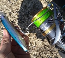 ショアでハマチ2本!