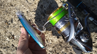 ショアでハマチ２本！