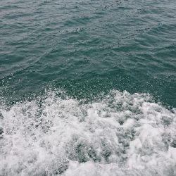 キャスティング！