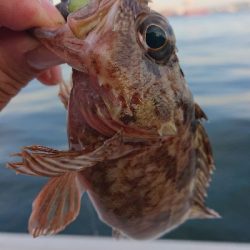 南港ガシリング