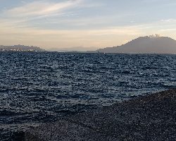 朝マズメと真っ昼間で合わせて3本