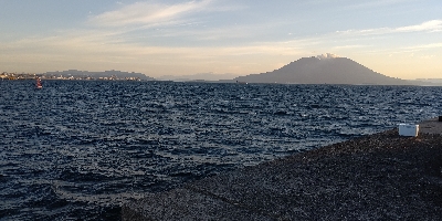 朝マズメと真っ昼間で合わせて3本