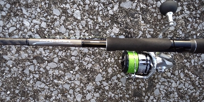 まだまだ居ます！