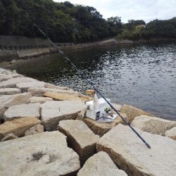 室津のキス釣り