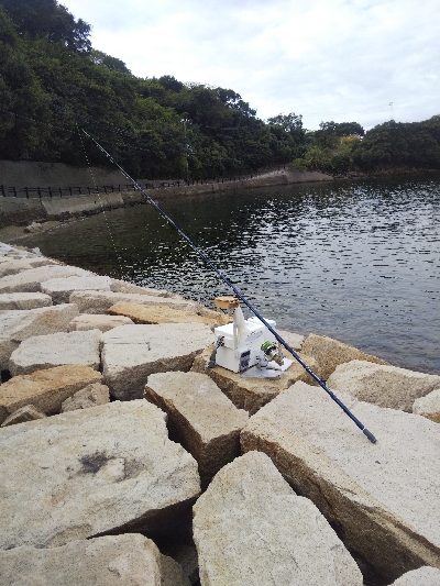 室津のキス釣り