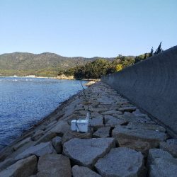 室津のキス釣り