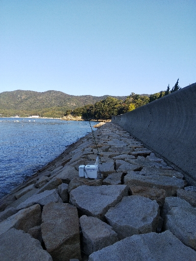 室津のキス釣り