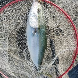 ラスト1投にドラマが！