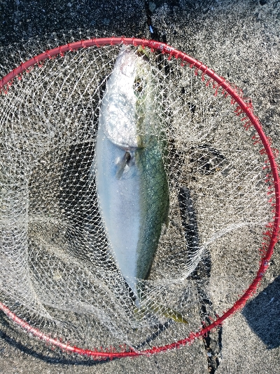 ラスト1投にドラマが！