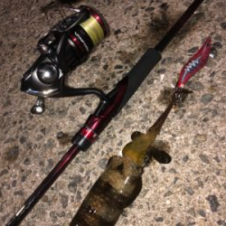 坊勢島で5魚種♪GUNNING-STYLE