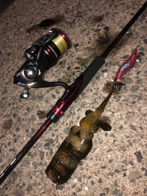 坊勢島で5魚種♪GUNNING-STYLE