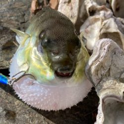 意外な奴が、、、