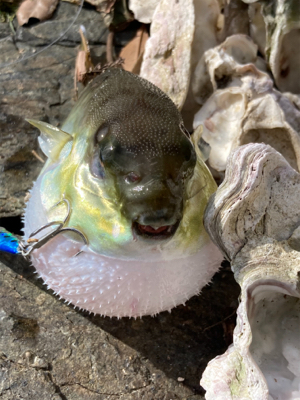 意外な奴が、、、