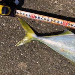 呪縛からの解放