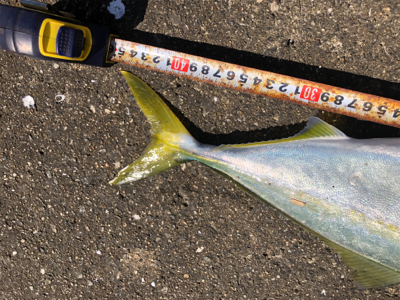 呪縛からの解放