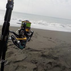 サバくん達が、ちっちゃくボイル!