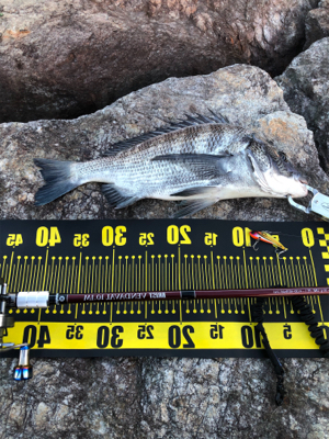 由良川河口にて