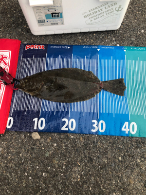 ロックショアで初ヒラメ