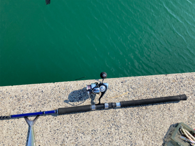 真昼間からショアジギングでサゴシ釣果！！