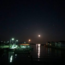 ウェーディング deヒラメ