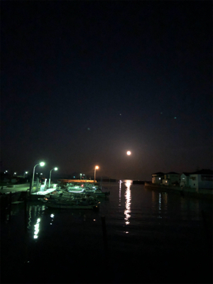 ウェーディング deヒラメ