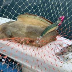 マイボートでティップラン釣行