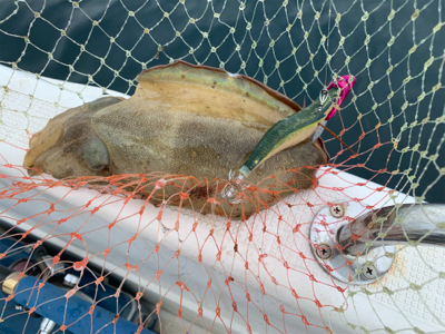 マイボートでティップラン釣行