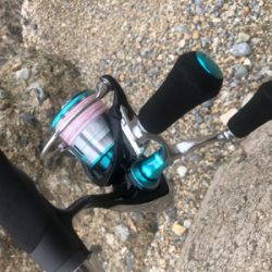 楽しめましたよ