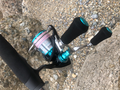 楽しめましたよ