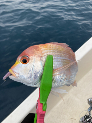 オフショア釣行