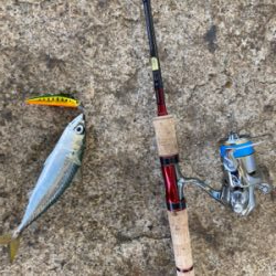 ジャークソニックでサバ