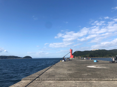 サビキでハマチ（偶然）