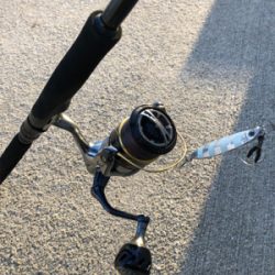 サーベルさんウジャウジャ