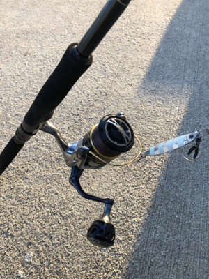 サーベルさんウジャウジャ