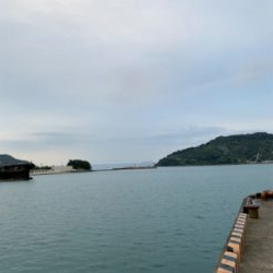 タチゲーム最終章