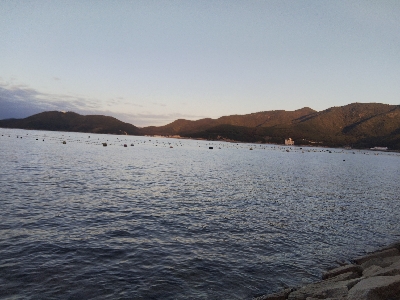 室津のキス釣り