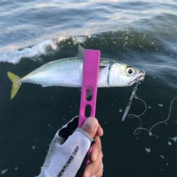 コスモスクエア釣果