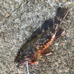 やっと俺のターン