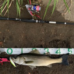 仕事帰りに(°▽°)