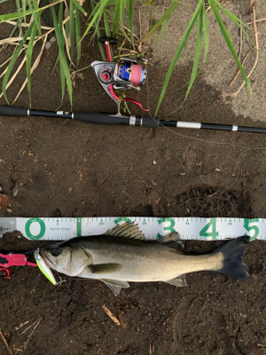 仕事帰りに(°▽°)