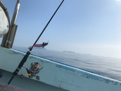 初ティップラン