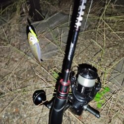 アジングデビュー